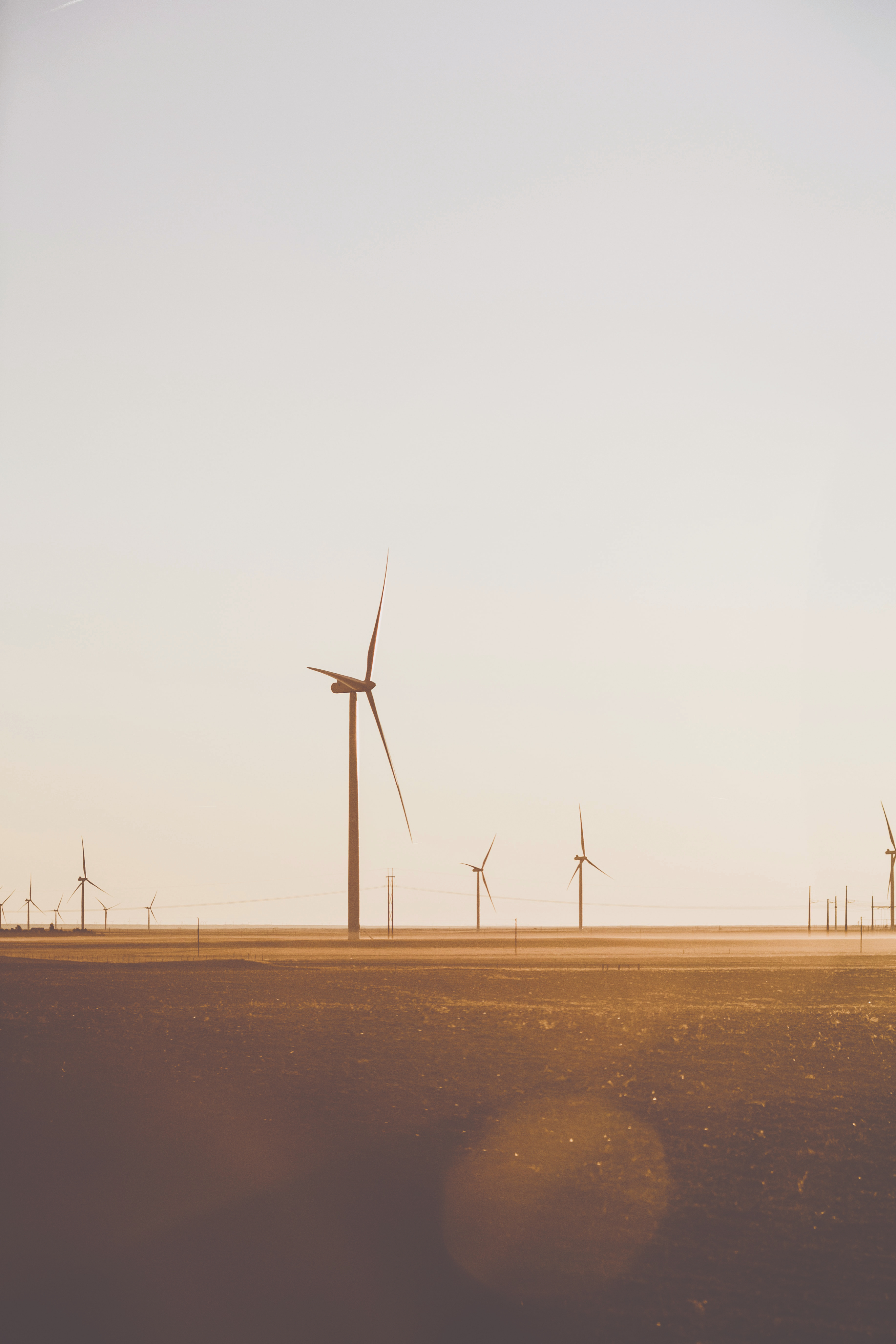 Field with wind turbines.
