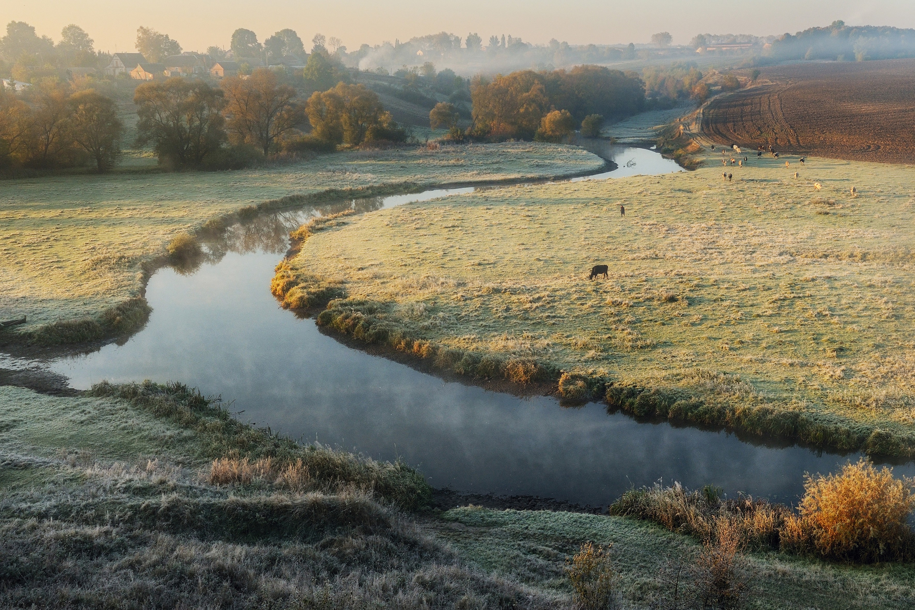 Grassy field with stream in the Fall